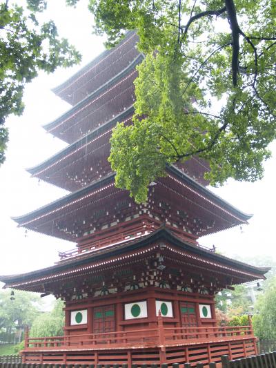 雨に咽ぶ最勝院五重塔