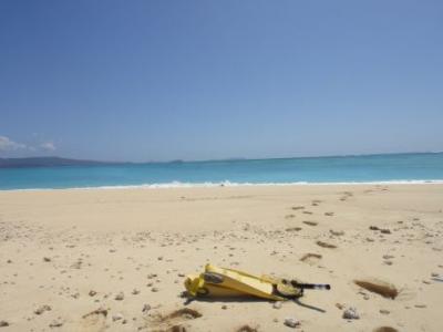 【旅行記2010】マイヨットの青い海（７）サバ？サバ！