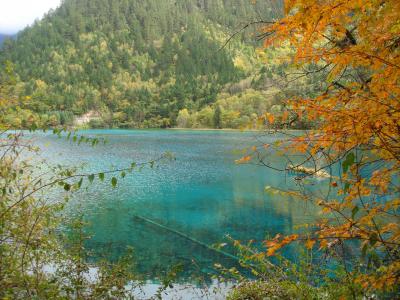 　紅葉の九寨溝・黄龍　成都の旅２０１０年１０月