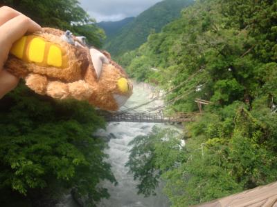 2010年6月貧弱登山会第1回例会①「祖谷のかずら橋でいや、いやよ～」