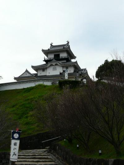 掛川城と四季桜