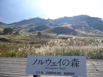 映画「ノルウェイの森」のロケ地を訪ねて 砥峰高原（神河町） 