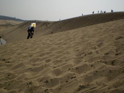 （●｀o´）ノ　これは、。。。鳥取砂丘ですなっ！