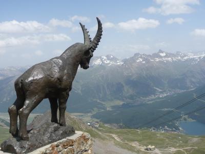 初・スイス! アルプスに恋する7日間 ④氷河特急&サンモリッツ