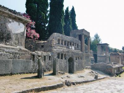 2009 カプリ、アマルフィー、ポンペイ、カセルタ、ナポリ紀行　５