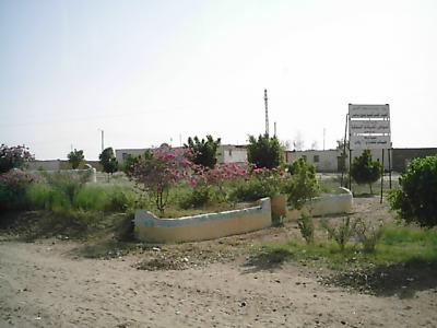 ２０１０　エジプト　6日目