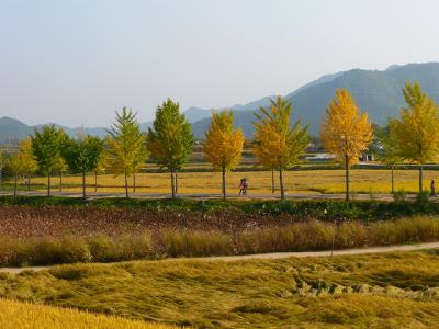 韓国世界遺産巡り③