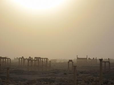 シリア（クラック・デ・シュバリエ～パルミラ～ハマ）