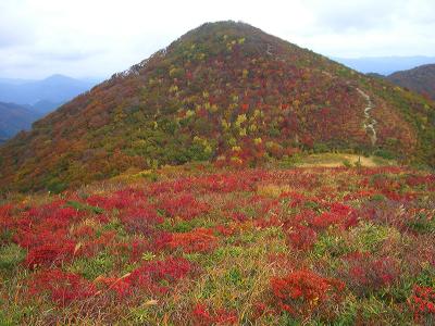 比婆道後帝釈国定公園（紅葉情報/比婆山連峰:立烏帽子山～御陵（比婆山）～烏帽子山を森林浴）