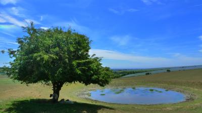 ブライトン サイクリングとセブンシスターズ (4日目 DitchlingBeacon - Lewes)