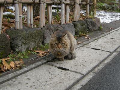 寄り道由布院。