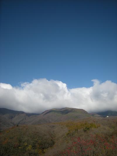 秋那須は嫁に食わすなツアー。