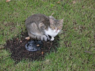 横須賀美術館。