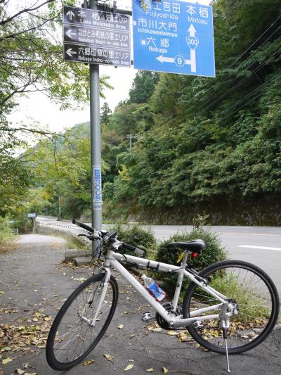 富士川沿いに山梨県へ=②本栖湖経由で自宅へ=