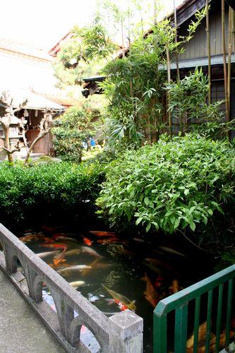 2008 GW犬との旅 ｐａｒｔ２ 鯉の町津和野～鬼太郎ロード