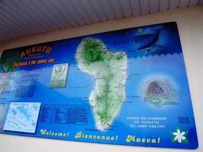 一生に一度、ルルツでザトウクジラの親子と泳ぐ♪♪　①プロローグ