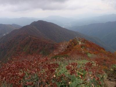 谷川岳　紅葉