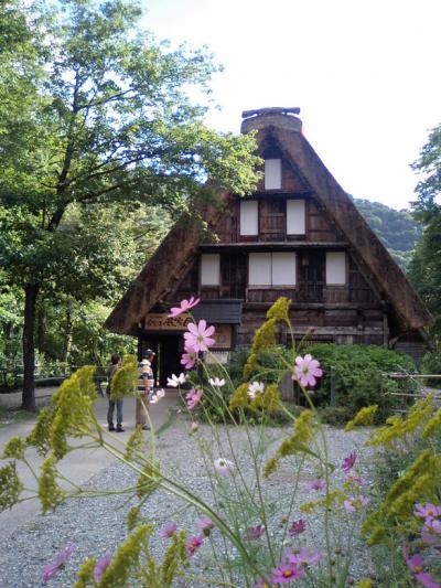 世界遺産白川郷でわんことお散歩＊2010飛騨高山（3）