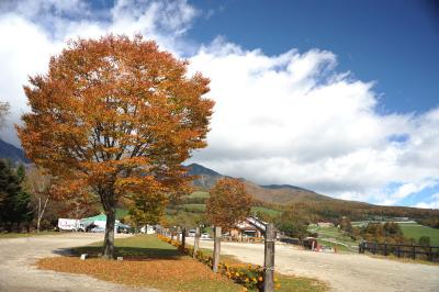 紅葉を求めて=①小淵沢からまきば公園=