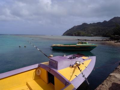 一生に一度、ルルツでザトウクジラの親子と泳ぐ♪♪　③エピローグ
