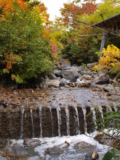 東北ドライブ、ひと月の女一人旅　(5)　八甲田の紅葉