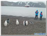 南極万歳。ペンギンに出会う！