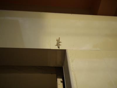 ベトナム＆カンボジア旅行記 6日目(カンボジア～ベトナム ホーチミンへ)