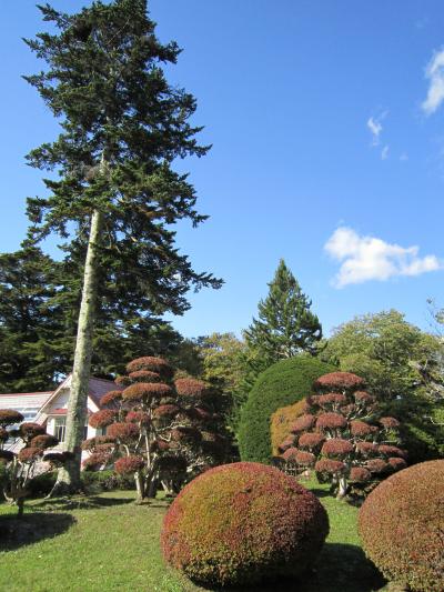 秋の函館・紅葉さがし⑤≪香雪園(旧岩船氏庭園)≫