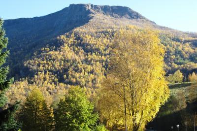 2010秋、黄葉の北欧4カ国旅行記(26/46)：10月15日(6)：ソグネフィヨルド見学後の上陸場所