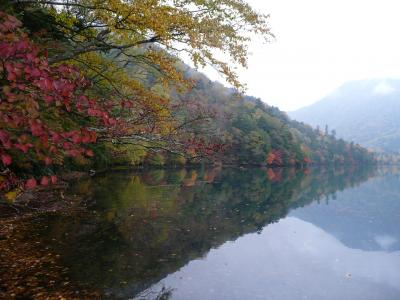 日光・中禅寺湖紅葉 #3 - 戦場ヶ原、湯滝、湯の湖