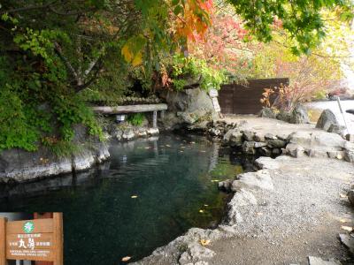 支笏湖畔、丸駒温泉に行って来ました。