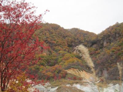 登別地獄谷～【絶景紅葉地獄図より】