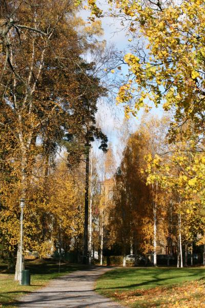 2010秋、黄葉の北欧4カ国旅行記(44/46)：10月18日(3)：ヘルシンキ：シベリウス公園