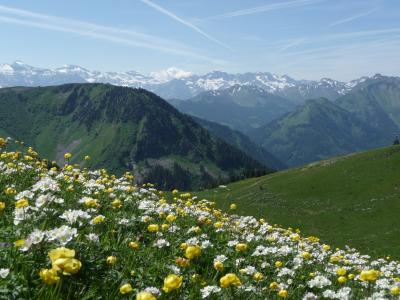 68 トゥール・ドゥ・ドン Tour de Don 1,998M