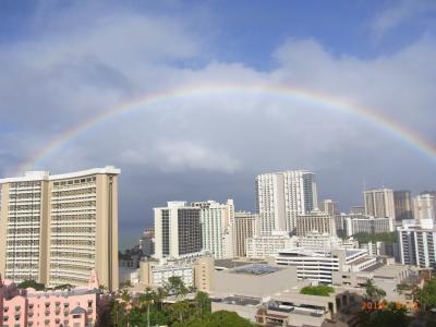 ネイチャー再発見 野生イルカと海亀と・・・オアフ島2010秋カイルア編