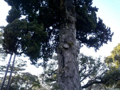 訳あって、小田原へ