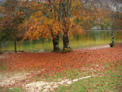 紅葉のボーヒン湖