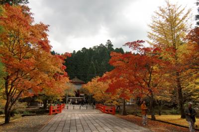 今季初紅葉　高野山