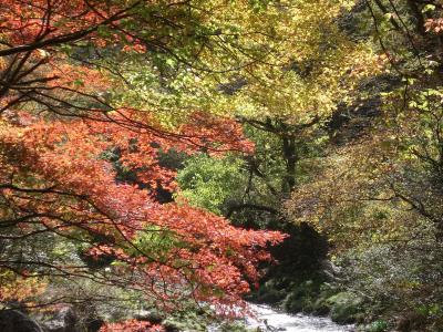 上帝釈の紅葉