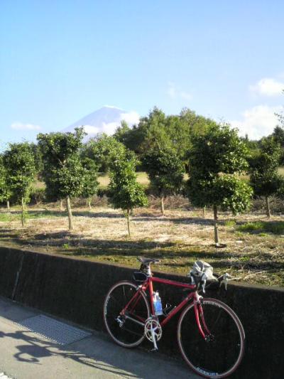 日曜日の朝一車屋さんまで、”ちゃり”でお出かけです