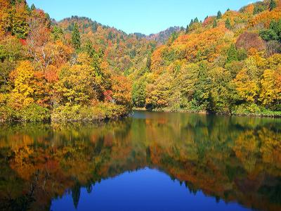 氷ノ山後山那岐山国定公園（紅葉情報/芦津渓谷＆三滝渓を森林浴）