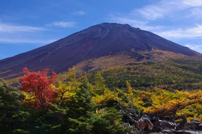紅葉と温泉を楽しみながら④～富士山五合目・奥庭自然公園～