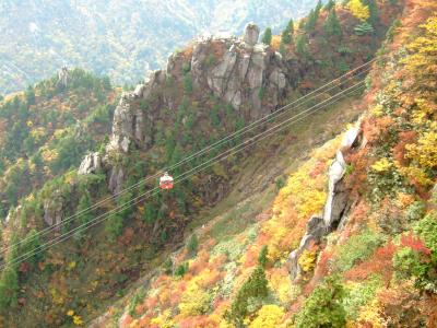 御在所岳の紅葉