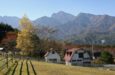 甲斐駒ケ岳山麓の小さな秋 “牧場チロル” ！