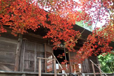 2010年紅葉　丹波篠山