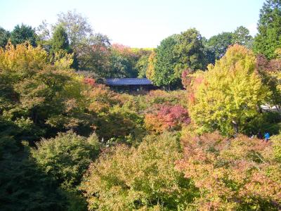 秋の伏見稲荷＆東福寺