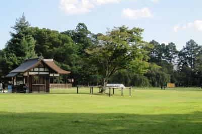 2010秋、上賀茂神社(3/3)：立砂、細殿、飾金具、橋殿(舞殿)、参道、鳥居、賀茂大社石碑