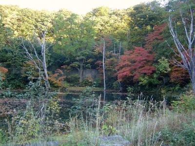 秋色の十和田・八幡平（羽後・陸中）３人旅　?