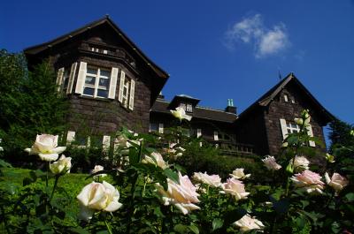 旧古河庭園で青空の下で秋薔薇の音楽会