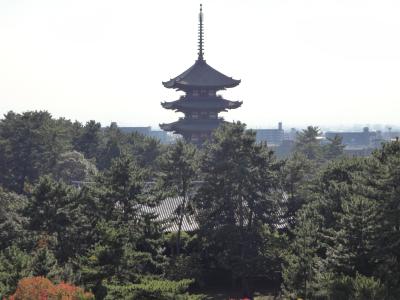 奈良東大寺周辺散策～正倉院展見学のはずが・・・！